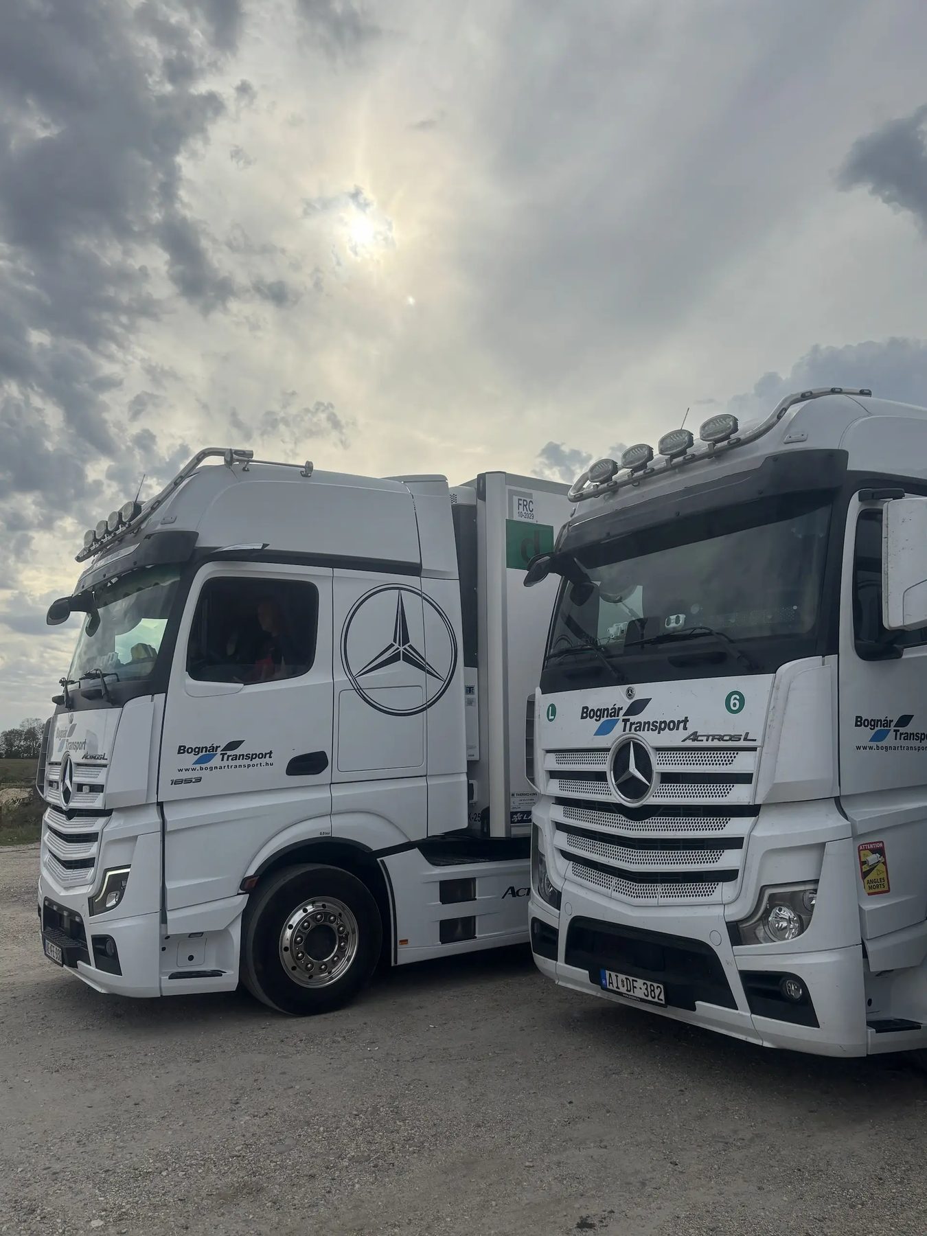 Bognár Transport vontató